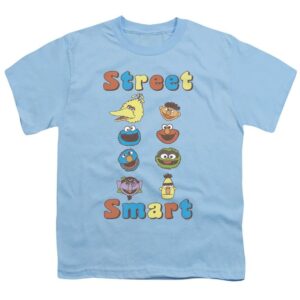 Sesame Street Street Smart Kid's Light Blue T-Shirts - HD10251642