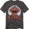 Sesame Street Distressed Sesame Street Unisex Adult T Shirt - HD10251706