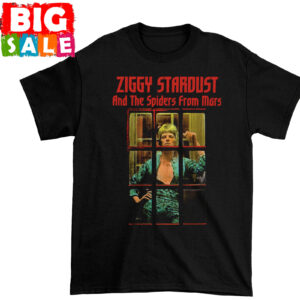 David Bowie Unisex Tshirt, Sweatshirt, Hoodie - HD10254375