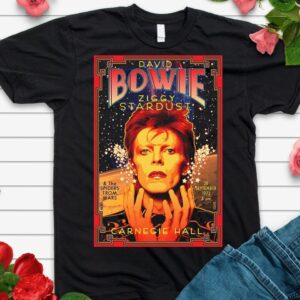 David Bowie Unisex Tshirt, Sweatshirt, Hoodie - HD10254376