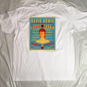 David Bowie Unisex Tshirt, Sweatshirt, Hoodie - HD10254379