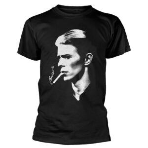 David Bowie Unisex Tshirt, Sweatshirt, Hoodie - HD10254382