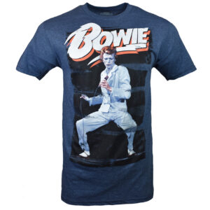 David Bowie Unisex Tshirt, Sweatshirt, Hoodie - HD10254383