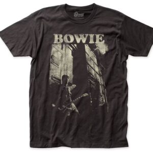 David Bowie Unisex Tshirt, Sweatshirt, Hoodie - HD10254384