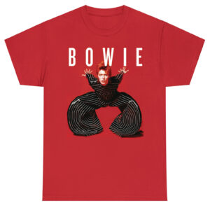 David Bowie Unisex Tshirt, Sweatshirt, Hoodie - HD10254385