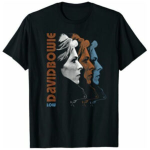 David Bowie Unisex Tshirt, Sweatshirt, Hoodie - HD10254386