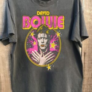 David Bowie Unisex Tshirt, Sweatshirt, Hoodie - HD10254387