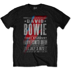 David Bowie Unisex Tshirt, Sweatshirt, Hoodie - HD10254388