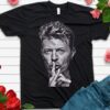 David Bowie Unisex Tshirt, Sweatshirt, Hoodie - HD10254393