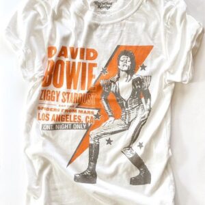 David Bowie Unisex Tshirt, Sweatshirt, Hoodie - HD10254396