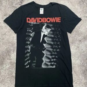 David Bowie Unisex Tshirt, Sweatshirt, Hoodie - HD10254398