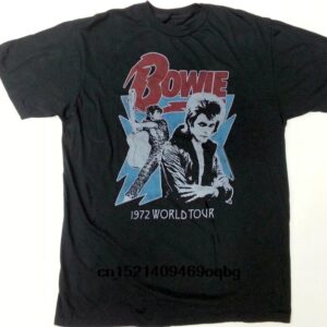 David Bowie Unisex Tshirt, Sweatshirt, Hoodie - HD10254400