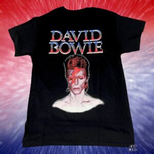 David Bowie Unisex Tshirt, Sweatshirt, Hoodie - HD10254402