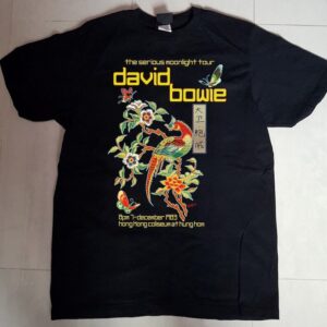 David Bowie Unisex Tshirt, Sweatshirt, Hoodie - HD10254404
