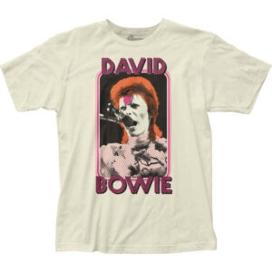 David Bowie Unisex Tshirt, Sweatshirt, Hoodie - HD10254410