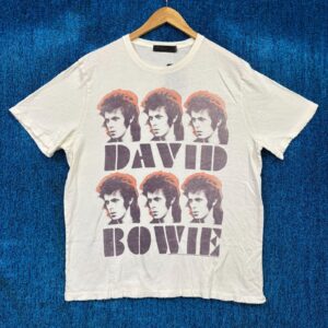 David Bowie Unisex Tshirt, Sweatshirt, Hoodie - HD10254415