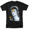 David Bowie Unisex Tshirt, Sweatshirt, Hoodie - HD10254420