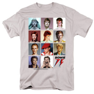 David Bowie Unisex Tshirt, Sweatshirt, Hoodie - HD10254421