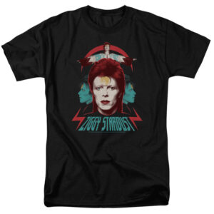David Bowie Unisex Tshirt, Sweatshirt, Hoodie - HD10254422