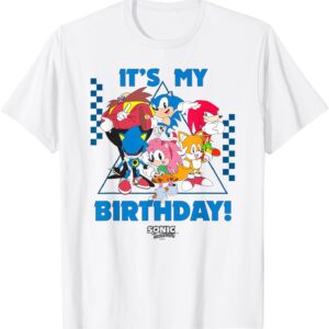 Sonic The Hedgehog Unisex Tshirt, Sweatshirt, Hoodie - HD10254705