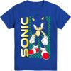 Sonic The Hedgehog Unisex Tshirt, Sweatshirt, Hoodie - HD10254708