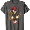 Sonic The Hedgehog Unisex Tshirt, Sweatshirt, Hoodie - HD10254749