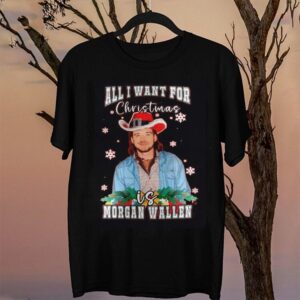 Morgan Wallen Unisex Tshirt, Hoodie, Sweatshirt - 2711350550