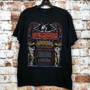 King Gizzard Unisex Tshirt, Hoodie, Sweatshirt - 2711350280