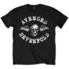 Avenged Sevenfold Unisex Tshirt, Hoodie, Sweatshirt - 2711350029